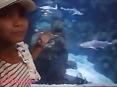 ��������� ����� ������ �������� �����